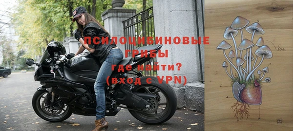 СК Алексин