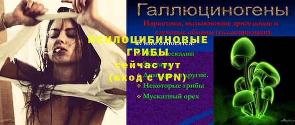 СК Алексин