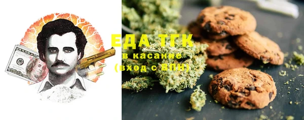 СК Алексин